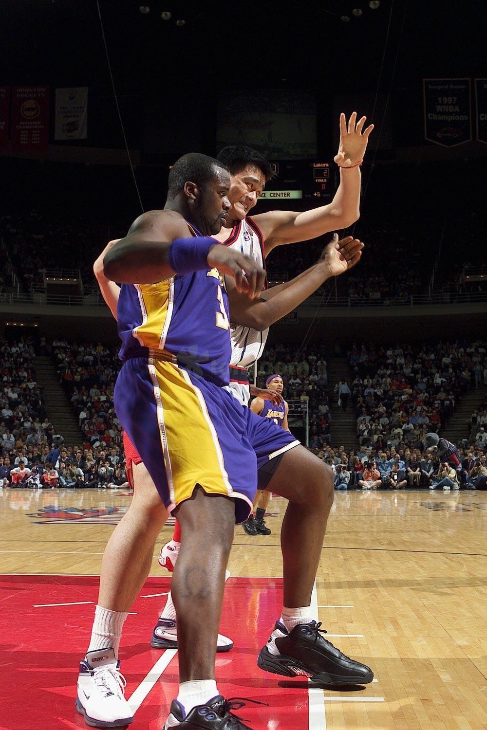 不仅突出个 不仅突出个